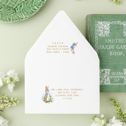 Peter Rabbit Baby Shower Invitations