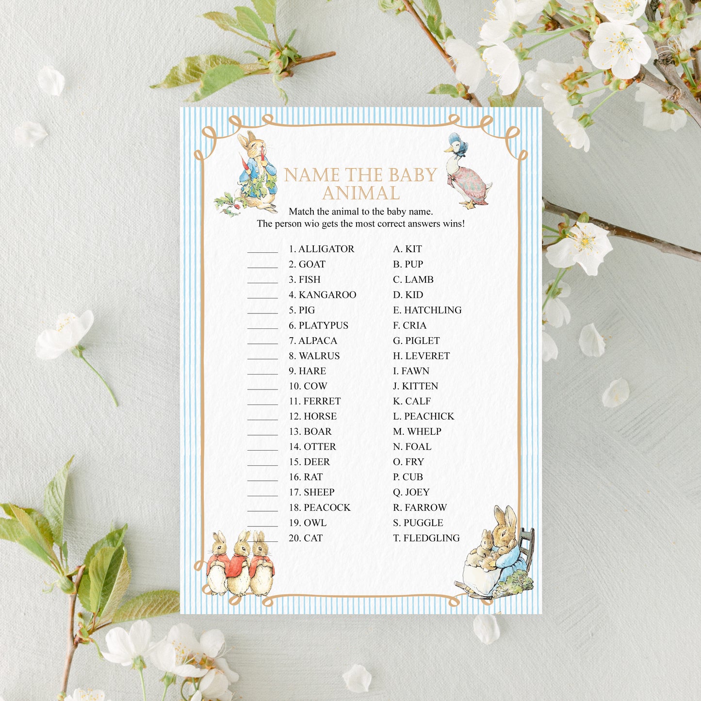 Peter Rabbit Baby Shower Game Cards