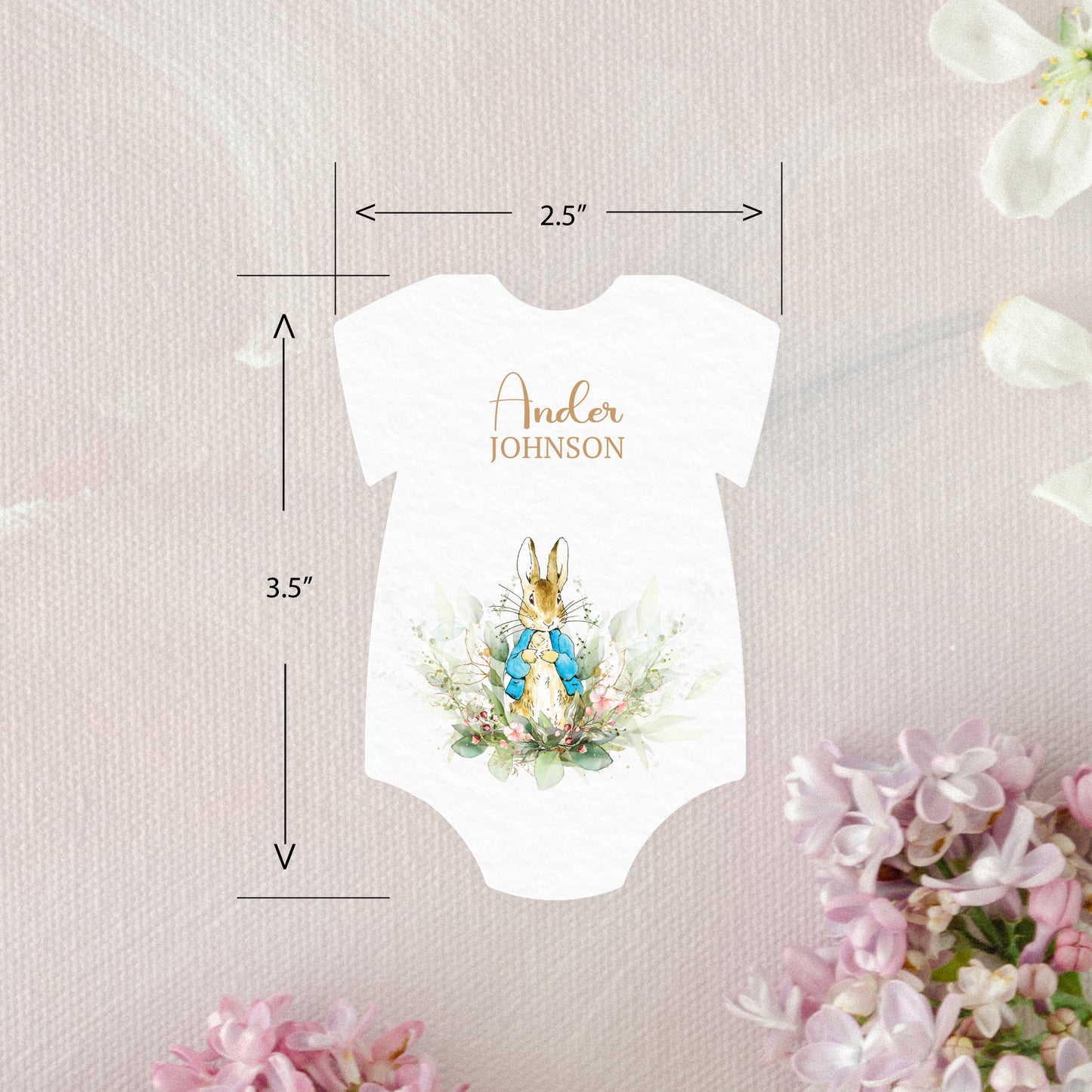 Onesie Shape Peter Rabbit Escort/Place Cards
