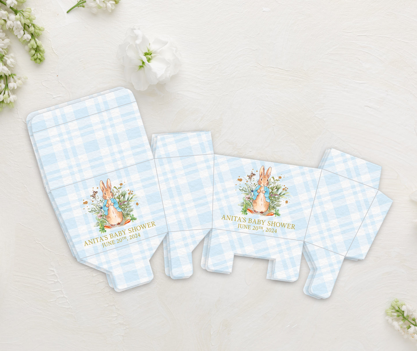 Peter Rabbit Favor Boxes